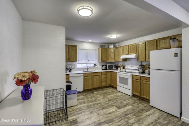 517 N Stephen St, Clark Fork, ID 83811 - kitchen featuring white appliances, under cabinet range hood, wood finished floors, and light countertops