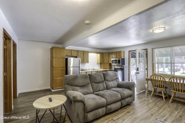 517 N Stephen St, Clark Fork, ID 83811 - living area featuring a textured ceiling, wood finished floors, and beamed ceiling