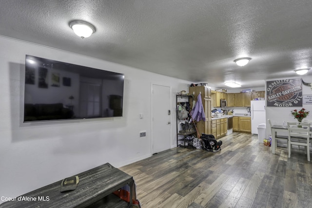 517 N Stephen St, Clark Fork, ID 83811 - living room featuring a textured ceiling and dark wood-type flooring