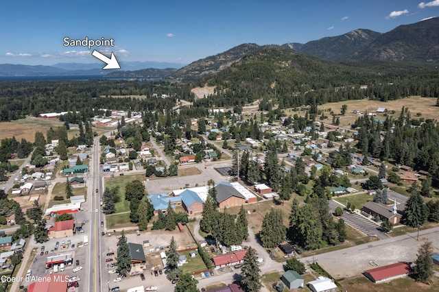 517 N Stephen St, Clark Fork, ID 83811 - view of property location featuring a mountainous background and a forest