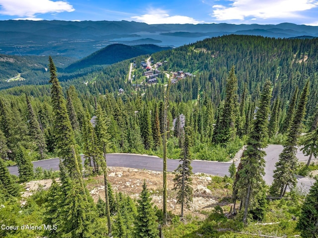12 Wyvern Way, Sandpoint, ID 83864 - photo 16