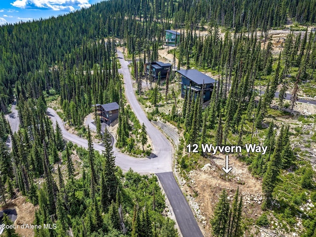 12 Wyvern Way, Sandpoint, ID 83864 - photo 29