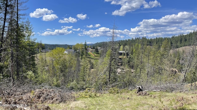 120 Blazing Saddle Ct, Pinehurst, ID 83850 - photo 4