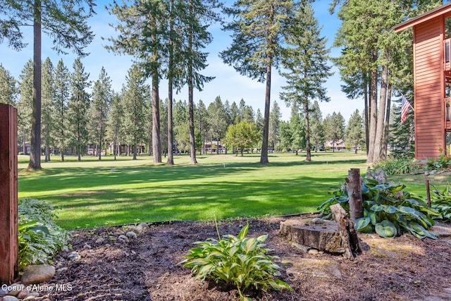 5299 W Green Ct # 23, Rathdrum, ID 83858 - view of green lawn