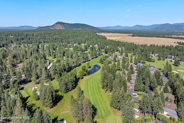 5299 W Green Ct # 23, Rathdrum, ID 83858 - aerial overview of property's location with mountains