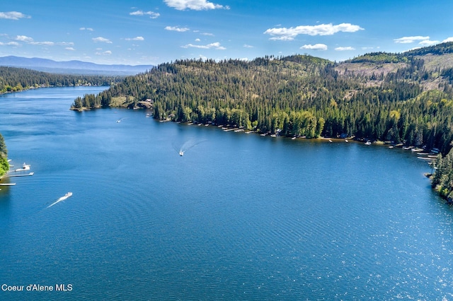 5299 W Green Ct # 23, Rathdrum, ID 83858 - bird's eye view of a forest and a water and mountain view