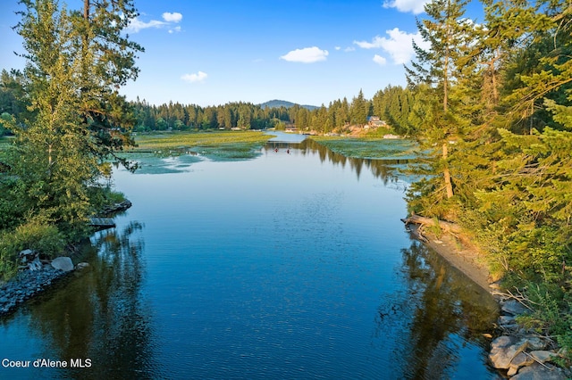 5299 W Green Ct # 23, Rathdrum, ID 83858 - water view featuring a forest