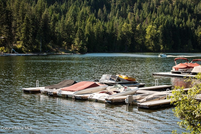5299 W Green Ct # 23, Rathdrum, ID 83858 - dock with a wooded view and a water view