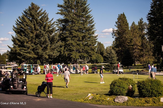 5299 W Green Ct # 23, Rathdrum, ID 83858 - view of home's community with an area to practice putting and a yard