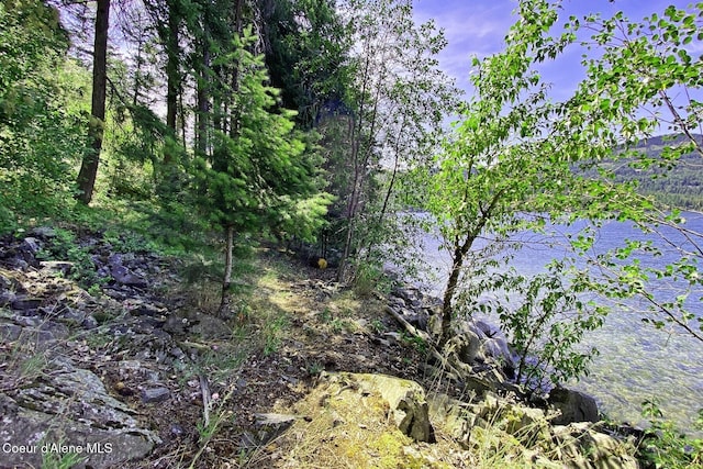 NNA Rough Road, Sagle, ID 83860