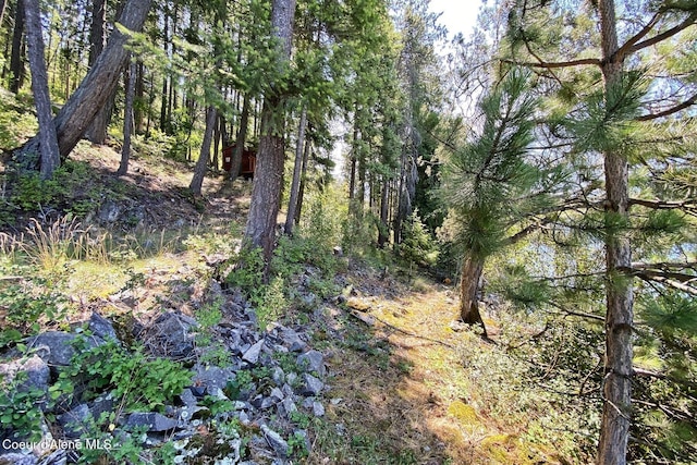 NNA Rough Road, Sagle, ID 83860