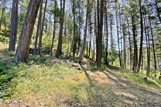 NNA Rough Road, Sagle, ID 83860