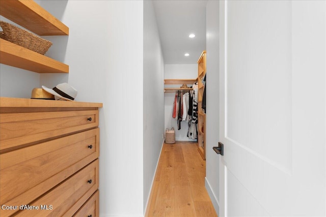 428 W Beach Ct, Dover, ID 83825 - walk in closet with light wood-type flooring