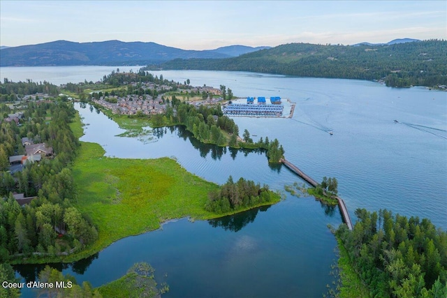 428 W Beach Ct, Dover, ID 83825 - drone / aerial view of a water and mountain view