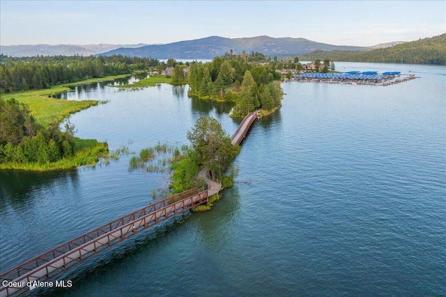 428 W Beach Ct, Dover, ID 83825 - water view with a mountain backdrop