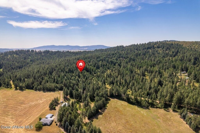NKA Highway 95, Plummer, ID 83851