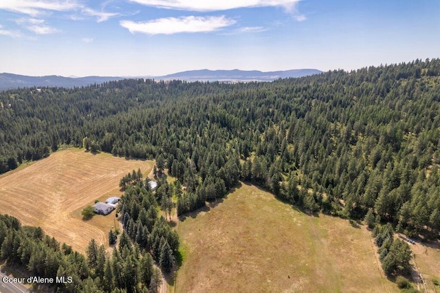 NKA Highway 95, Plummer, ID 83851