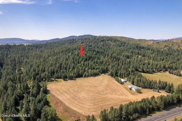 NKA Highway 95, Plummer, ID 83851