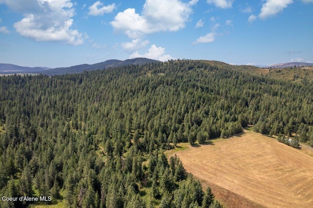 NKA Highway 95, Plummer, ID 83851