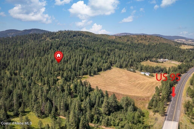 NKA Highway 95, Plummer, ID 83851
