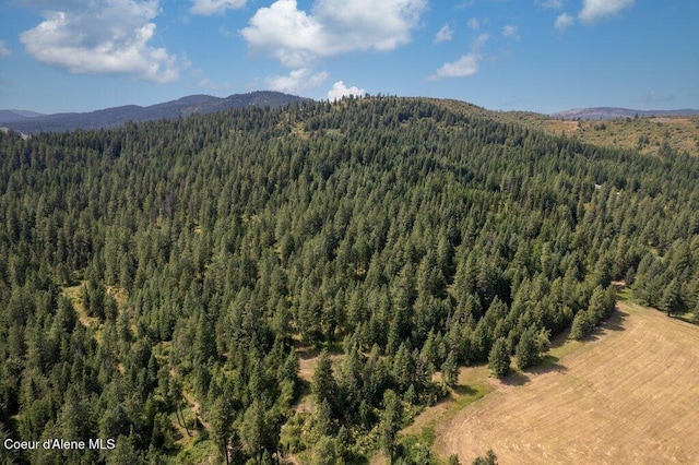 NKA Highway 95, Plummer, ID 83851