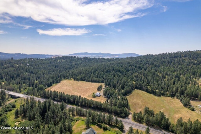 NKA Highway 95, Plummer, ID 83851