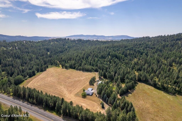 NKA Highway 95, Plummer, ID 83851