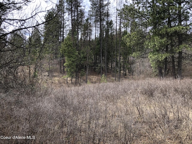NKA Highway 95, Plummer, ID 83851