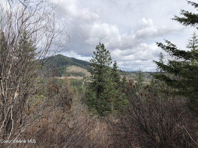 NKA Highway 95, Plummer, ID 83851