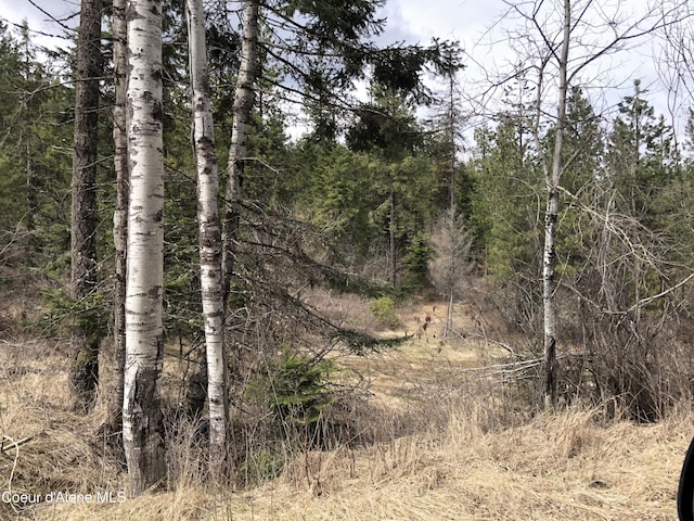 NKA Highway 95, Plummer, ID 83851