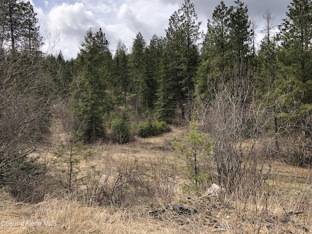 NKA Highway 95, Plummer, ID 83851