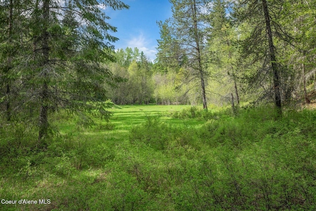 854 Two Tail Rd, Bonners Ferry, ID 83805 - view of woods