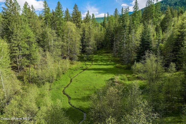 854 Two Tail Rd, Bonners Ferry, ID 83805 - view of wooded area