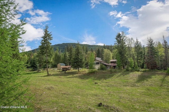 854 Two Tail Rd, Bonners Ferry, ID 83805 - view of green lawn with a forest view
