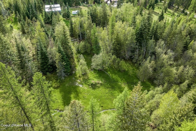 854 Two Tail Rd, Bonners Ferry, ID 83805 - aerial view