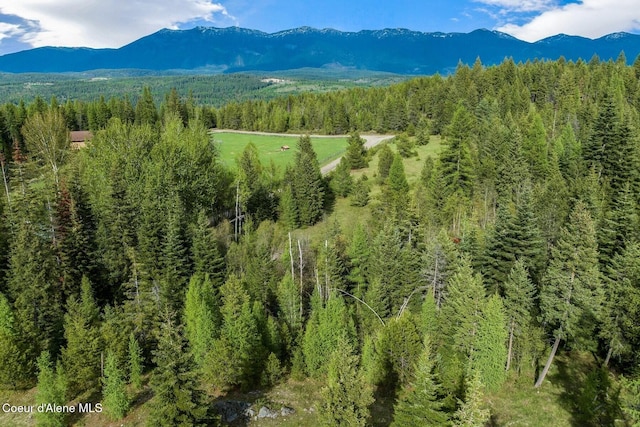854 Two Tail Rd, Bonners Ferry, ID 83805 - view of mountain background featuring a heavily wooded area