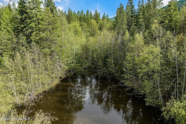 854 Two Tail Rd, Bonners Ferry, ID 83805 - water view with a forest