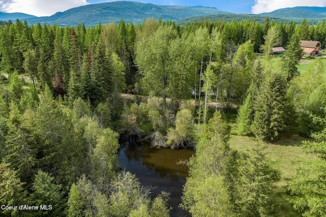854 Two Tail Rd, Bonners Ferry, ID 83805 - view of mountain backdrop featuring a forest