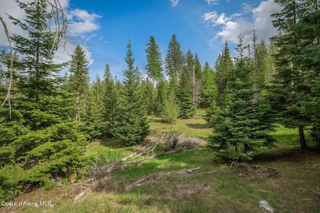854 Two Tail Rd, Bonners Ferry, ID 83805 - view of woods