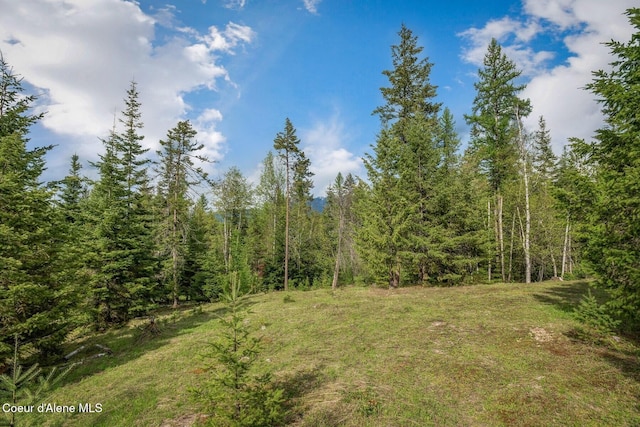 854 Two Tail Rd, Bonners Ferry, ID 83805 - view of green lawn with a view of trees