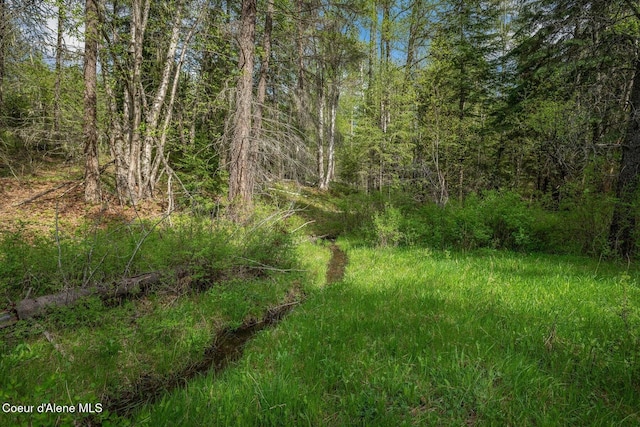 854 Two Tail Rd, Bonners Ferry, ID 83805 - view of woods