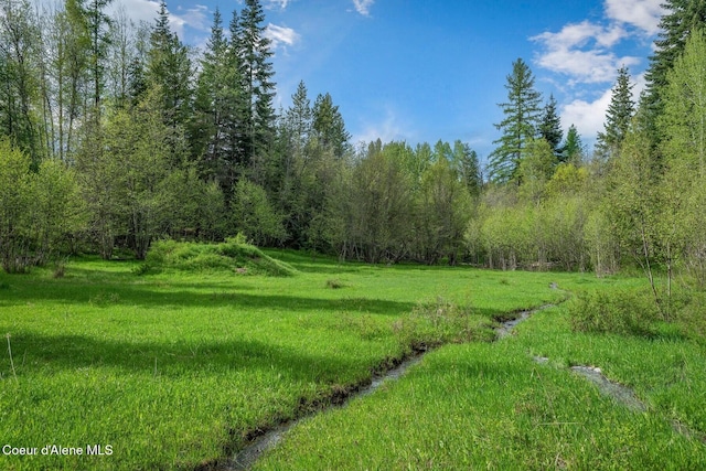 854 Two Tail Rd, Bonners Ferry, ID 83805 - view of yard featuring a forest view