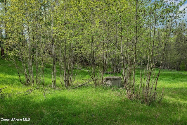 854 Two Tail Rd, Bonners Ferry, ID 83805 - view of yard