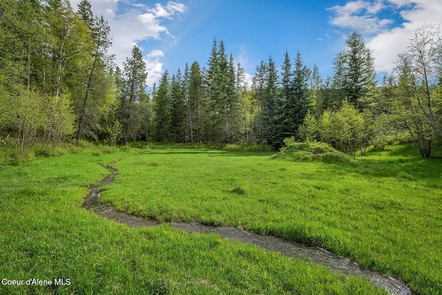 854 Two Tail Rd, Bonners Ferry, ID 83805 - view of yard