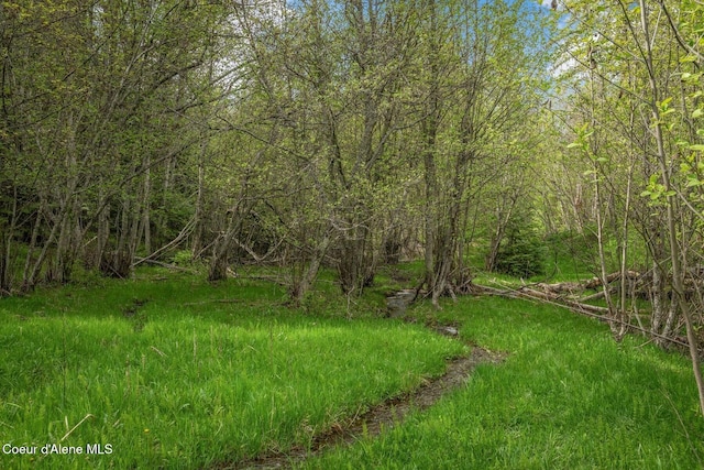 854 Two Tail Rd, Bonners Ferry, ID 83805 - view of yard