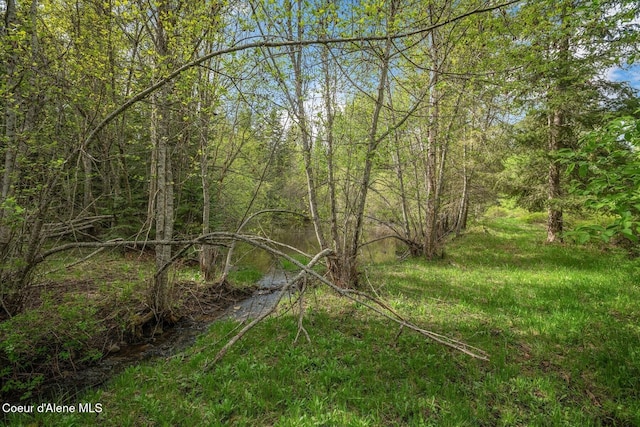 854 Two Tail Rd, Bonners Ferry, ID 83805 - view of local wilderness