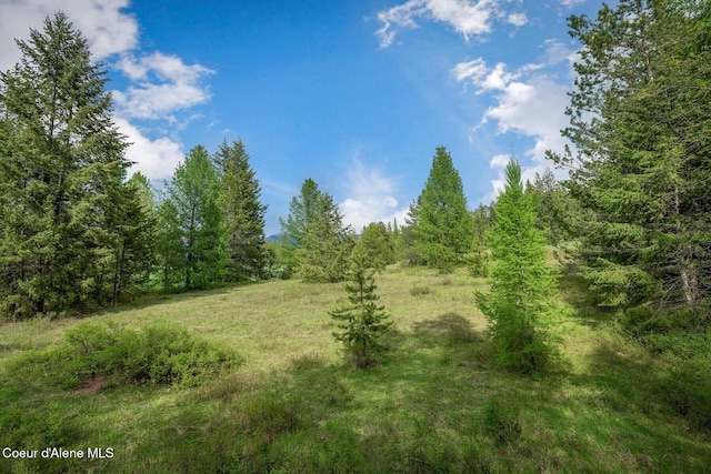 854 Two Tail Rd, Bonners Ferry, ID 83805 - view of woods