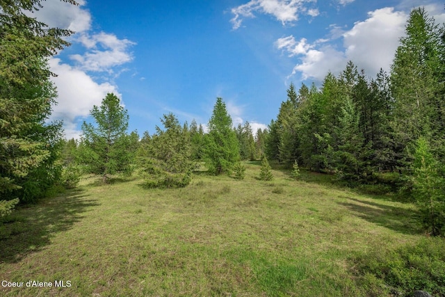854 Two Tail Rd, Bonners Ferry, ID 83805 - view of wooded area