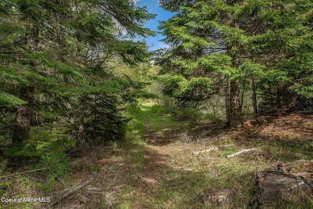 854 Two Tail Rd, Bonners Ferry, ID 83805 - view of local wilderness