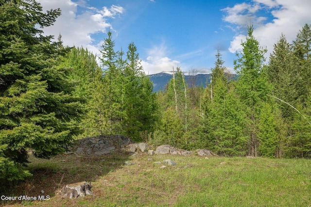 854 Two Tail Rd, Bonners Ferry, ID 83805 - view of yard featuring a mountain view and a forest view